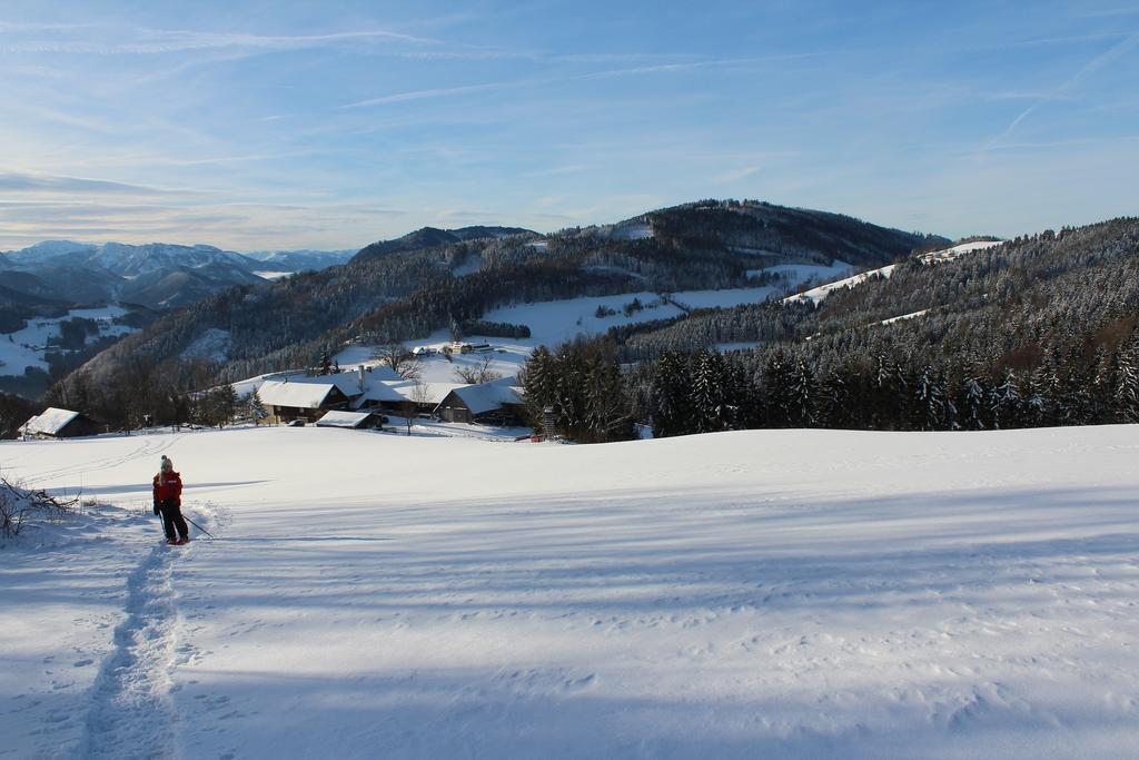 Hirmhof Villa Reinsberg Exteriör bild