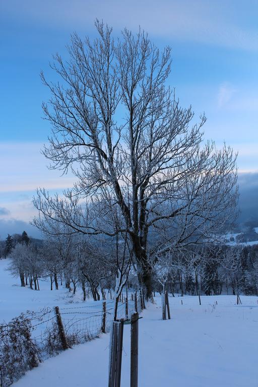 Hirmhof Villa Reinsberg Exteriör bild