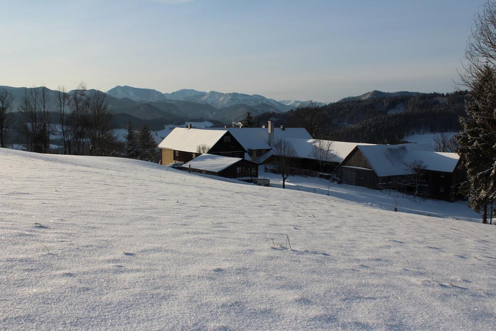 Hirmhof Villa Reinsberg Exteriör bild