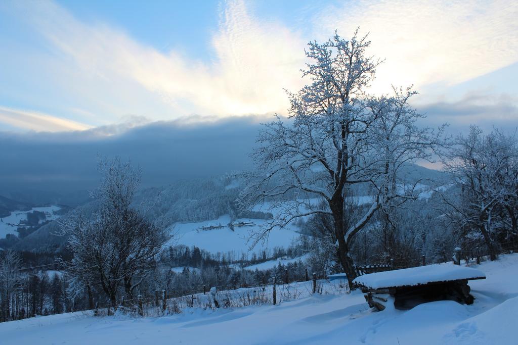 Hirmhof Villa Reinsberg Exteriör bild