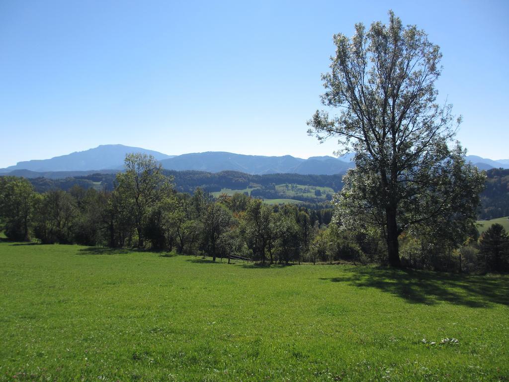 Hirmhof Villa Reinsberg Exteriör bild